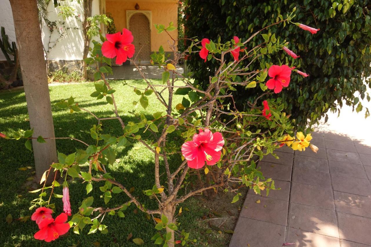Vera Playa Spain - La Menara Naturist Complex - Eagles Nest - Penthouse Εξωτερικό φωτογραφία